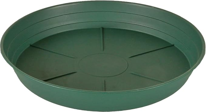 Hydrofarm HGS6P Green Premium, 6", Pack of 25 Saucer, 6"
