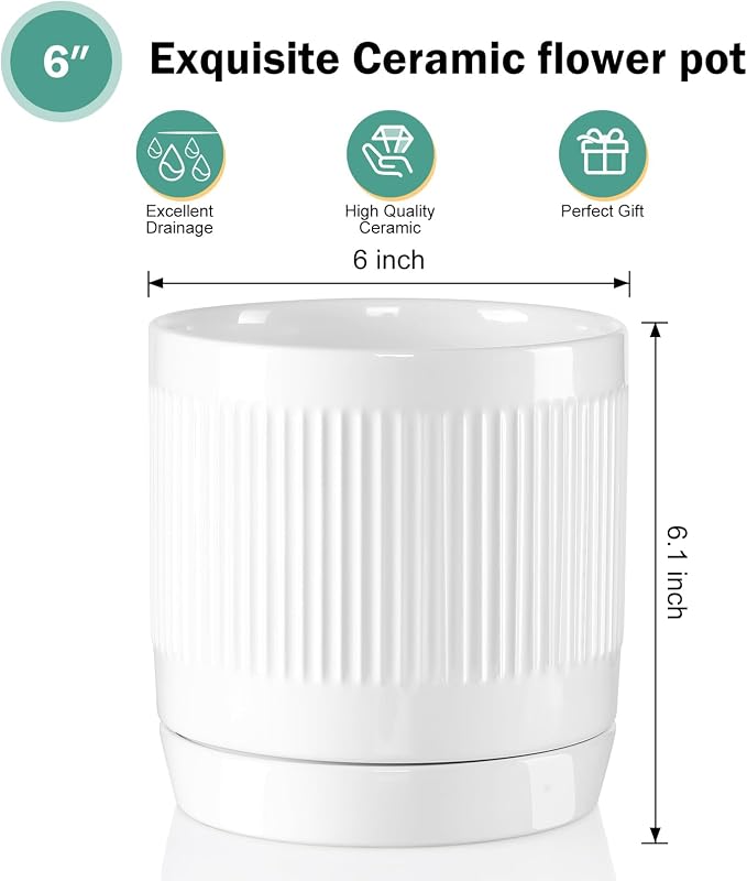 Vanavazon 6 Inch Glazed Ceramic Plant Pots with Drainage Hole and Saucer, Cylinder Indoor Planters for All House Plants, Modern Decor for Home & Office, Set of 2 (White)