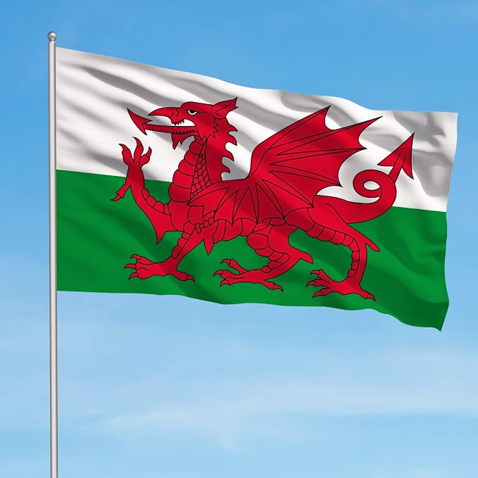 AhfuLife 2 Pcs Wales Flag 3x5 Ft, Large Wales Flag for Outside - Double Side with Brass Eyelets for Olympic Party Decorations, Bar Garden Street Decoration Indoor Outdoor