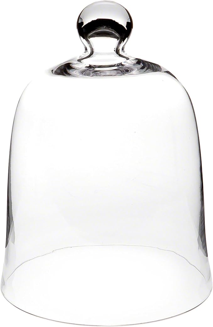 Plymor 8.5" x 11" Bell Jar Glass Display Dome Cloche (Interior Size 8.25" x 9.5")
