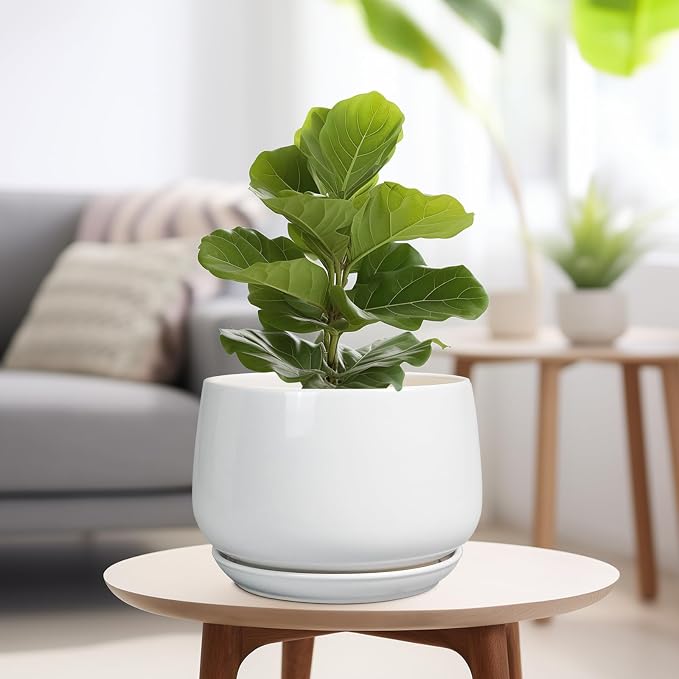 G EPGardening Ceramic Planter 9 Inch - Plant Pots with Drainage and Ceramic Saucer, Flower Pots for Indoor Plants, Modern Outdoor Planter, Living Room Decor, Gifts for Plant Lovers, White