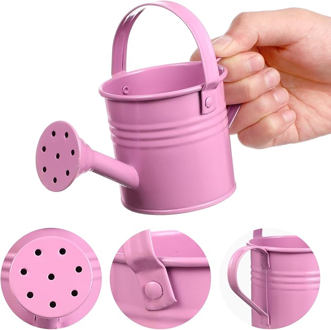 Cabilock 6-Pack Small Watering Cans for Indoor Plants Lightweight Plastic Watering Pots with Easy Grip Ideal for Succulents and Air Plants Gardening 5.90 Inch