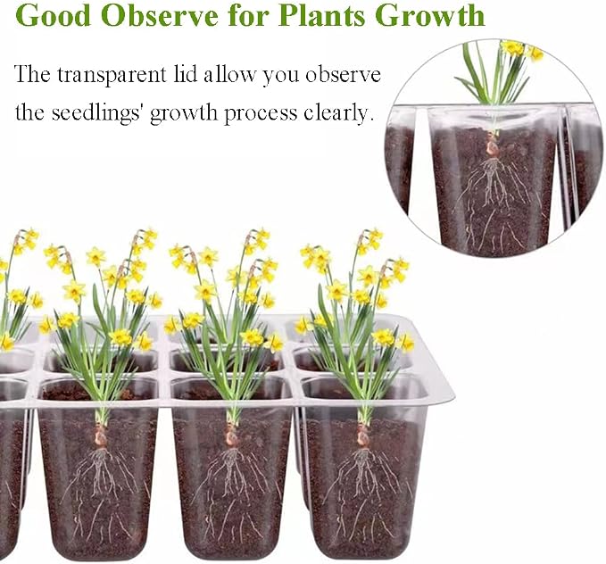 Seed Starter Tray Kit, 3-Pack Plant Growing Trays with Humidity Dome and Base, Labels and Hand Tool Kit for Seed Starting, Germination and Seedling Propagation (12 Cells per Tray)