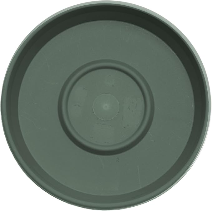 Bloem Terra 16" Round Plastic Plant Saucer, Lightweight UV-Resistant Indoor/Outdoor Flower Pot Tray - Fits 16-inch Planter Pots, Basil, 2-Pack