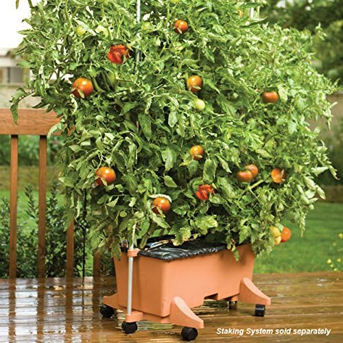 EarthBox® Container Gardening System - Terra