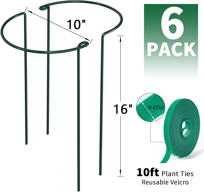 AMAGABELI 6 Pack 16 Inch Plant Support Stakes Peony Cage Heavy Duty Ring Metal Garden Support Structures Plant Cage with Ties for Indoor Flower Outdoor Tomato Hydrangea Monstera
