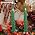 Christmas Tree Taper Candles Hunter Green Spruce Candles，Christmas Decor Decoration,Set ot 2,(Hunter Green) 10.5inch - Image 7