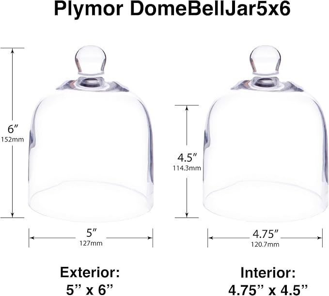 Plymor 5" x 6" Bell Jar Glass Display Dome Cloche (Interior Size 4.75" x 4.5")
