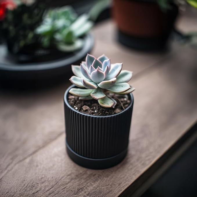 HERDUK Small Plant Pots, 4 Inch Pots for Indoor Plants, Modern Minimalist Ceramic Plant Pots with Drainage Hole & Saucer, Matte Black Set of 2