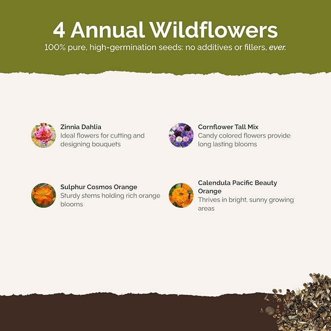 Eden Brothers Jellybean Flower Mixed Seeds for Planting, 1 oz, 30,000+ Seeds with Zinnia, Cornflower, Cosmos, Calendula | Attracts Pollinators, Plant in Spring or Fall, Zones 3, 4, 5, 6, 7, 8, 9, 10