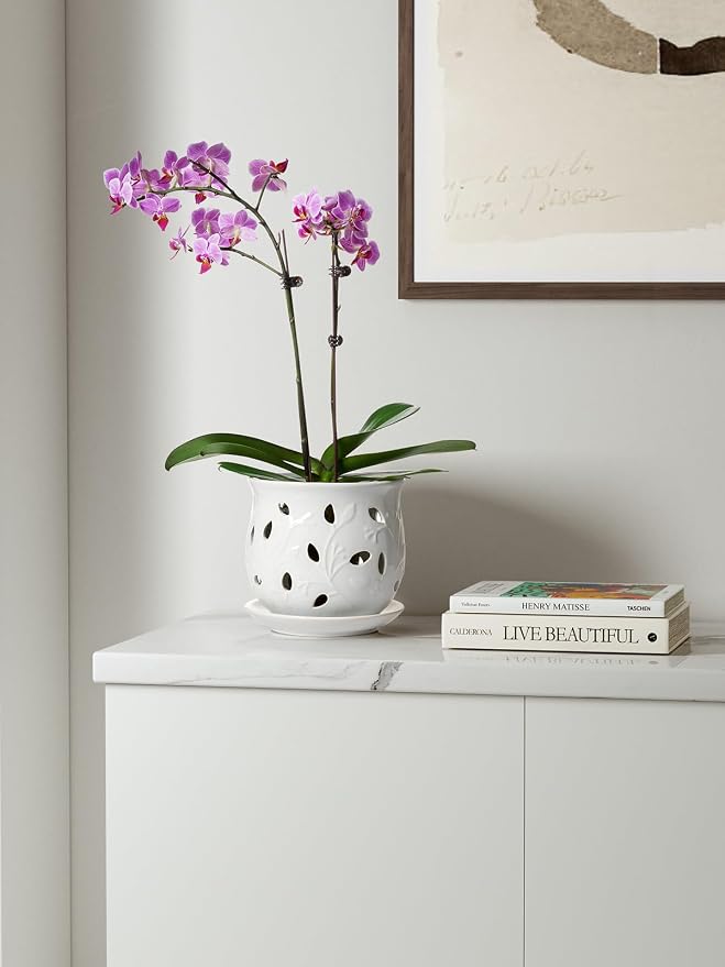 LE TAUCI Ceramic Orchid Pot, 6.5 Inch Orchid Pots with Holes, Orchid Planter for Repotting, Indoor Flower Plant Pot with Drainage and Saucer, White