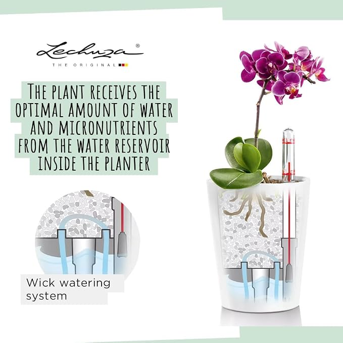 Lechuza 14900 Deltini Self-Watering Planter for Indoor and Outdoor Use, 6" x 6" x 7", White