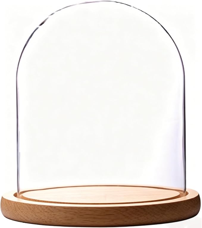 Glass Cloche Bell Jar Display Dome, Natural Wood Color, 6"x7" | Wooden Base, 1 Pack