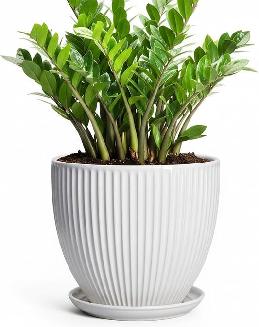 10 Inch Planter, Ceramic Plant Pots with Drainage Hole and Saucer, Modern Large Planters for Indoor Plants, Round Planter, Decorative Flower Pots, Living Room Decor, Gifts for Men Women, White
