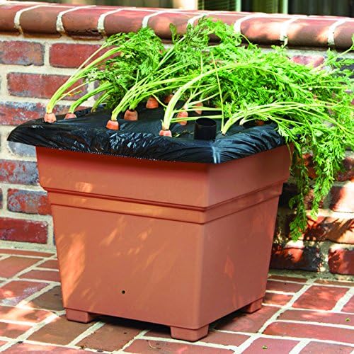 EarthBox 81755 Garden Kit, White