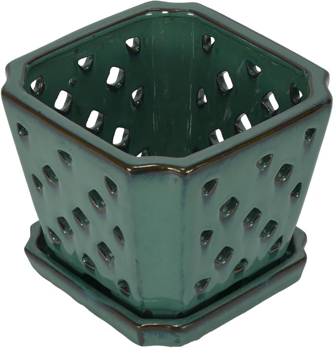 W&W Orchid Pot with Holes and Saucer for Repotting, Green, 7"