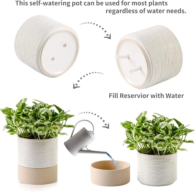 Nihow Ceramic Self Watering Plant Pot for Indoor Plants, 6 Inch,Cream White | Planter with Cotton Wick, Drainage Hole & Water Storage Plus, Cylinder Round Flower Pot, For Succulent/Herbs/Violets