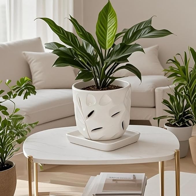 Square Ceramic Plant Saucer Tray 2 Pcs 5 6 Inch White, 6.6" OD x5.5 ID x1.1 Deep| Sturdy Heavy Duty Glazed Planter Drip Flower pots with Catch Basin for Indoor Outdoor Plants(6" White)