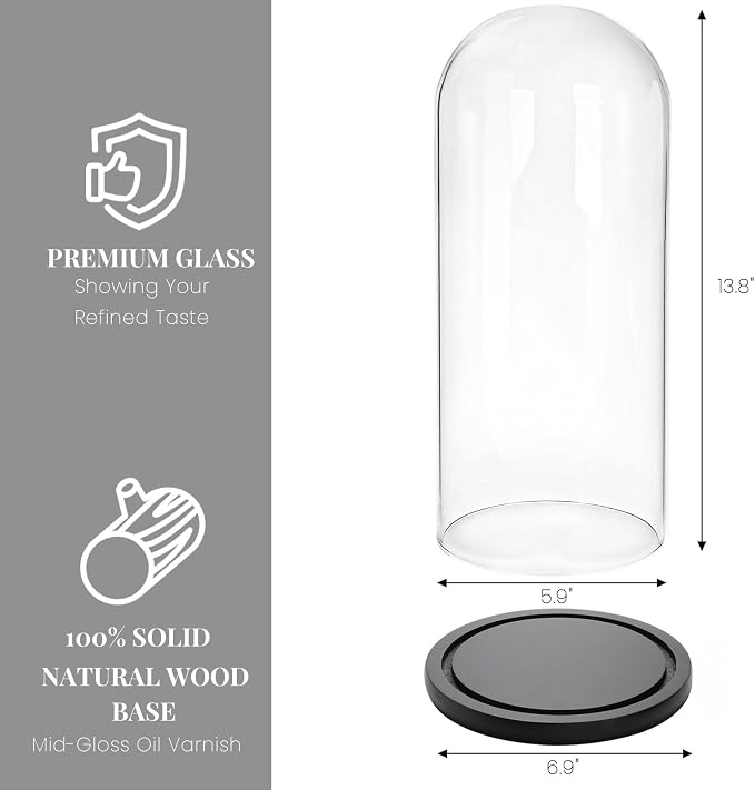ZOOFOX 13.8 Inch Tall Glass Dome with Base, Clear Glass Empty Display Cloche, Decorative Bell Jar for Succulents, Collectibles, Fairy Lights, Photos, Medals, Heirlooms