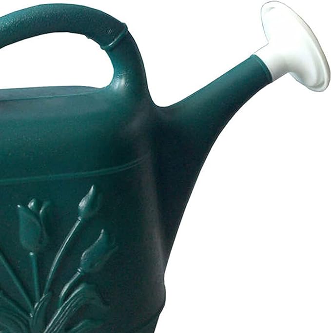 Union Products 63065 Indoor Outdoor 2 Gallon Plant Watering Can, Green (2 Pack)
