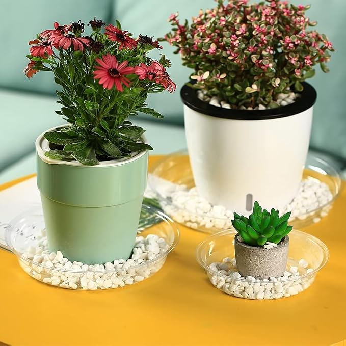 12 Packs 20 Inches Large Clear Plant Saucers for Indoor Outdoor Use Heavy Duty Plastic Plant Trays for Planter Bulk Flower Pot Drip Trays to Catch Water, 4 to 20 Inch