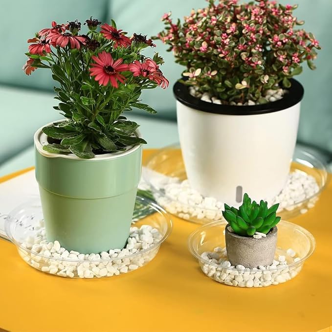 50 Packs 12 Inches Large Clear Plant Saucers for Indoor Outdoor Use Heavy Duty Plastic Plant Trays for Planter Bulk Flower Pot Drip Trays to Catch Water, 4 to 20 Inch