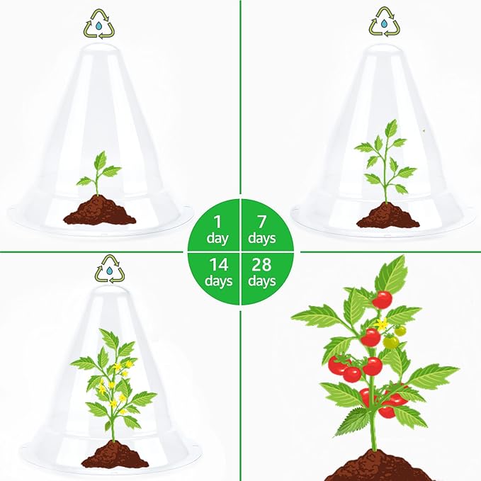 【30 Pieces】 Garden Cloches for Plants, Large Plant Covers Plant Protectors Clear Bell Jar Cloches to Protect Plants from Birds, Slugs, Frost, Freeze Weather, 10.6" D x 9.5" H, Transparent (30PCS(Big))