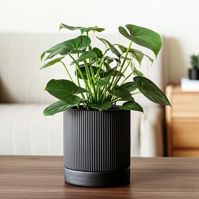 HERDUK 6 Inch Ceramic Plant Pot with Drainage & Saucer - Indoor Planter for Succulents, Cacti & Aloe Vera - Striped Design, High-Temp Fired Clay, Lightweight Modern Decor