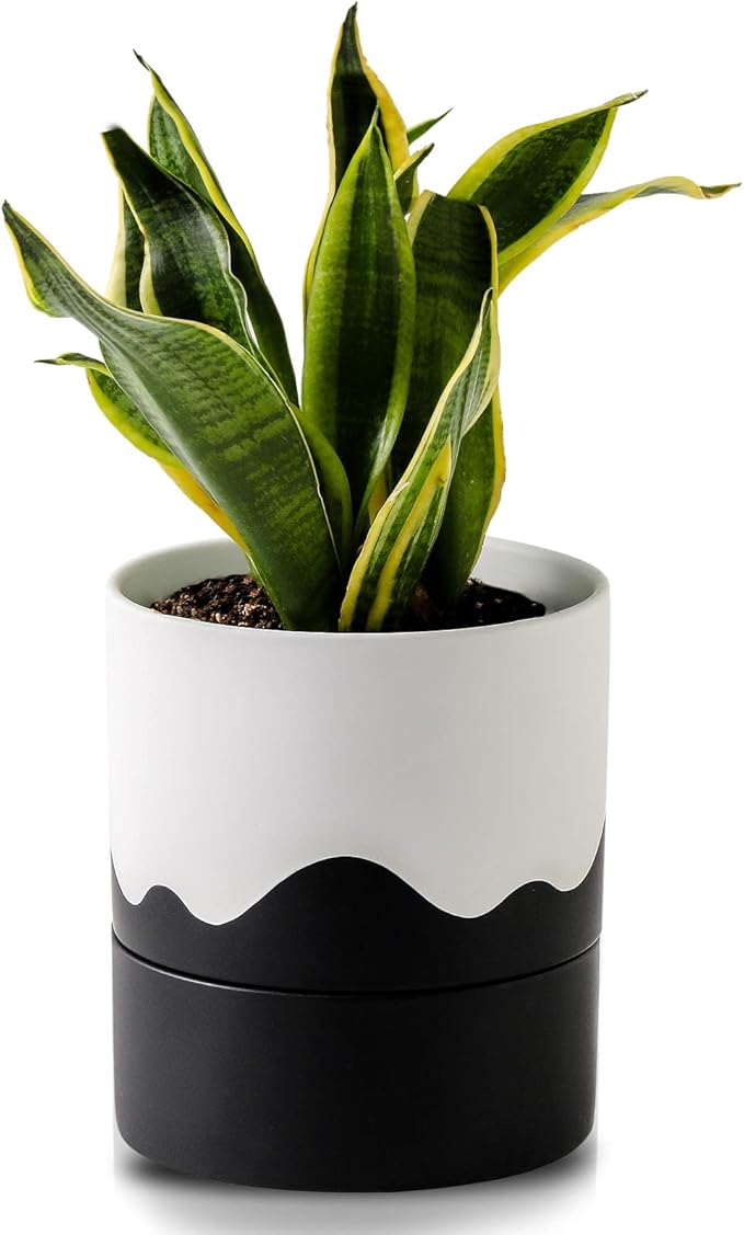 Nihow Ceramic Self Watering Plant Pot for Indoor Plants,6 Inch,White Black | Planter with Cotton Wick, Drainage Hole & Water Storage Plus, Cylinder Round Flower Pot, For Succulent/Herbs/Violets