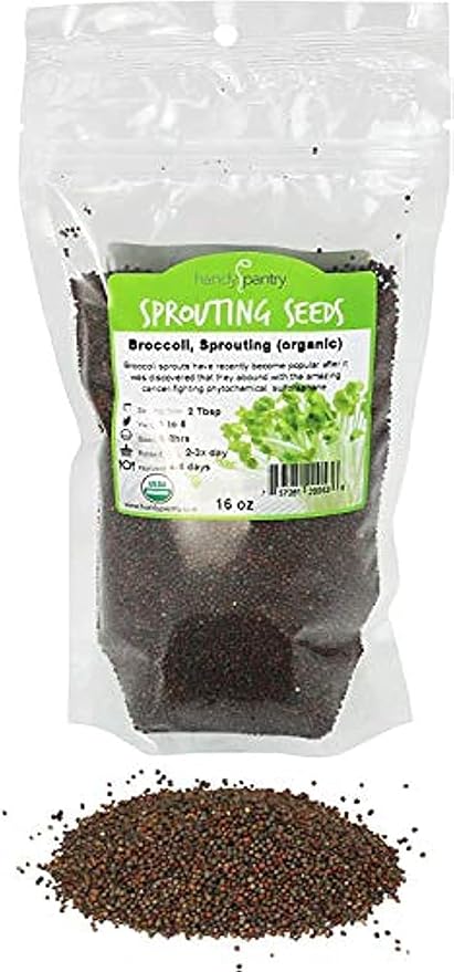 Handy Pantry Broccoli Sprouts Seed Organic - 1 Lb - Non-GMO Broccoli Seeds | Sprouting & Microgreens Sprouting Seeds, Contain Sulforaphane