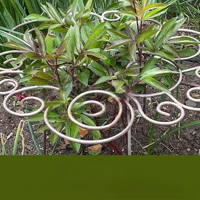 Metal Plant Support Ring for Garden, Peony Cages and Supports, Decorative Metal Plant Support Ring, Heavy-Duty Flower Support Frame, Outdoor Orchid Clip (S+L)