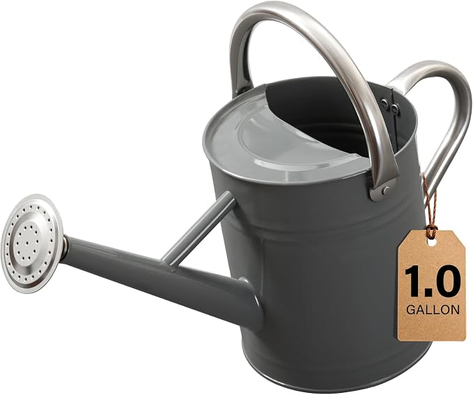 Watering Can for Outdoor&Indoor Plants，1 Gallon Metal Watering Can with with Removable Spout，Galvanized Steel Garden Flower Water Can Plant Watering Pot with 2 Handles,Grey