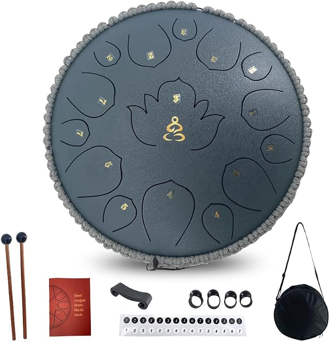 Rain Drum for Outside Garden,13 Inches 15 Notes Steel Tongue Drum with Mallets & Carry Bag Musical Instrument for Adults D Major