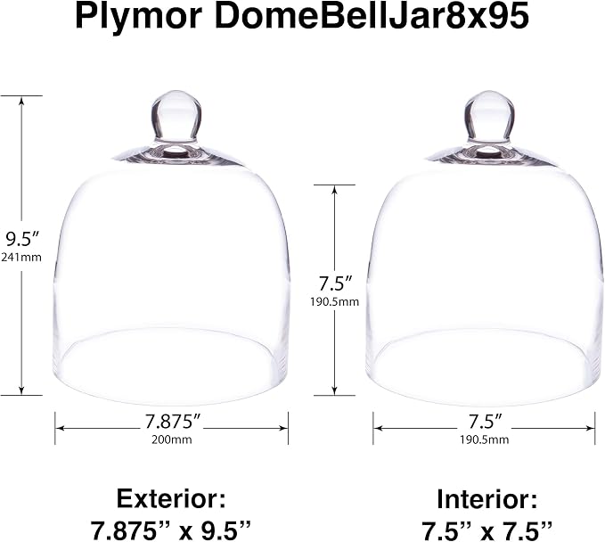 Plymor 7.875 inch x 9.5 inch Bell Jar Glass Display Dome Cloche (Interior Size 7.5" x 7.5")