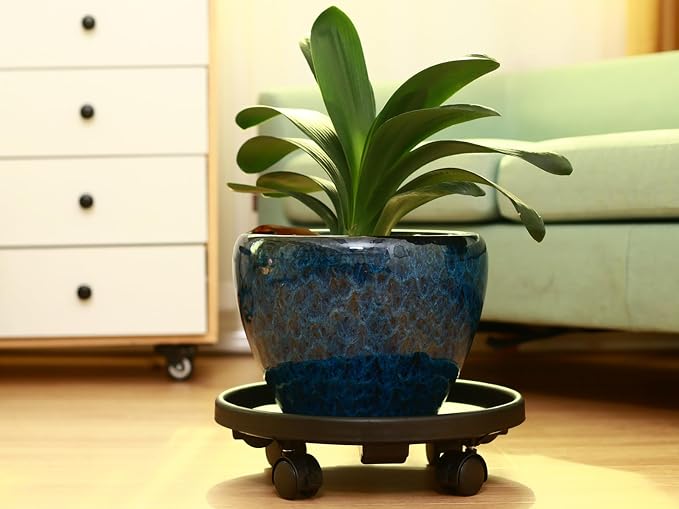 5 Pakcs Large Plant Caddy with Wheels 15.8" Rolling Plant Stands Heavy-duty Plastic Plant Roller Base Pot Movers Plant Saucer on Wheels Indoor Outdoor Plant Dolly with Caster Tray Coaster Black