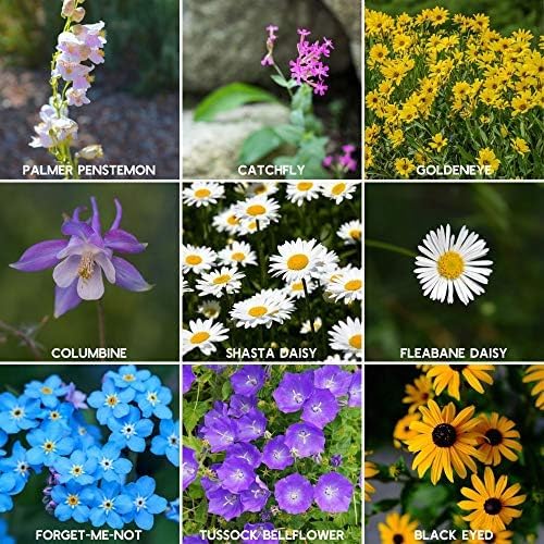 Mountain Valley Seed Co Rocky Mountain Wildflower Seeds Mix 4 oz Seed Pouch | 22 Wild Flower Seed Varieties - Annuals, Perennials and Bi-Annuals - Flower Garden