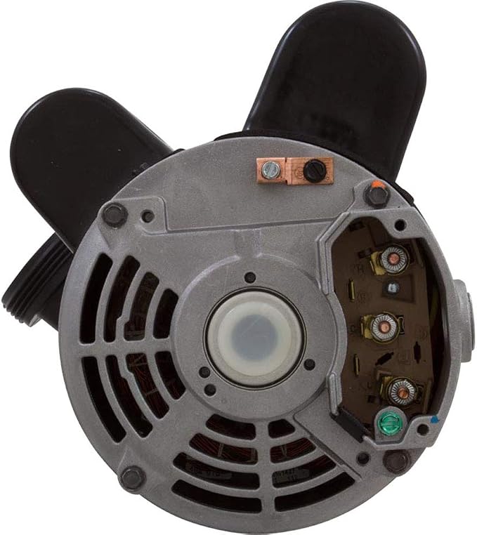 Balboa Water Group BWG PUMP 2SPD 2.5HP 230V 60HZ 6500-343