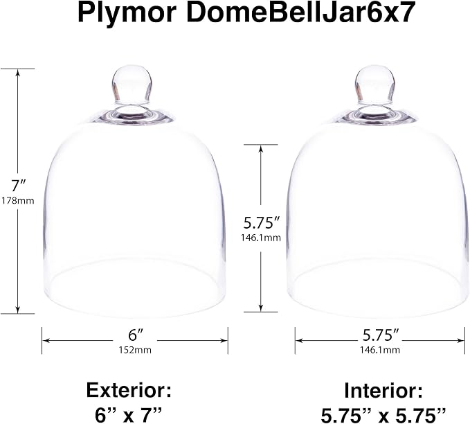 Plymor 6" x 7" Bell Jar Glass Display Dome Cloche (Small - Interior Size 5.75 inch x 5.75 inch)