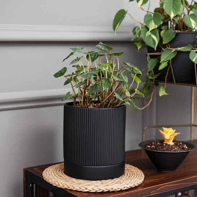 HERDUK 6 Inch Ceramic Plant Pot with Drainage & Saucer - Indoor Planter for Succulents, Cacti & Aloe Vera - Striped Design, High-Temp Fired Clay, Lightweight Modern Decor