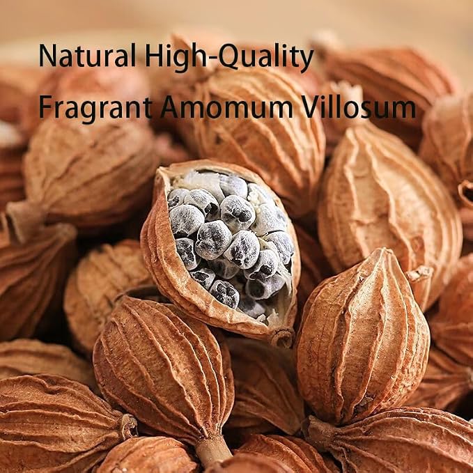 Chinese Cardamom (Sha Ren) 川砂仁 - 5.29oz/150gPure Natural Chinese Herbal Medicine- Amomum Villosum Pods - Dried Whole Herbal Spice for Tea, Cooking (Amomum villosum)