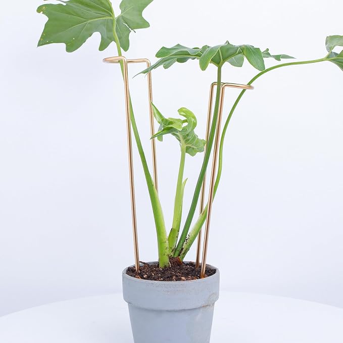 12-Inch Monstera Support - 10 Pack Medium Plant Support for Indoor and Outdoor Plants, Durable Stem Holder Trellis for Monstera and Spring Plant Stakes, Ideal for Home, Balcony, and Terrace