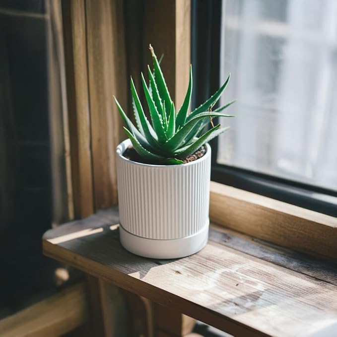 HERDUK Small Plant Pots, 4 Inch Pots for Indoor Plants, Modern Minimalist Ceramic Plant Pots with Drainage Hole & Saucer, White Set of 2