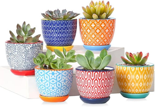 Selamica Ceramic 2.4 Inch Succulent Pots, Mini Flower Pots for Cactus Plant with Drainage Holes & Saucers, Home Decor, Set of 6, Assorted Colors
