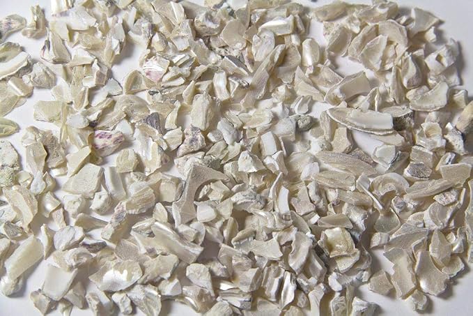 Decorative Concrete Aggregate – Colored Stone for Exposed Aggregate, Epoxy, Terrazzo & Broadcast Concrete Applications - 5lb Mother of Pearl