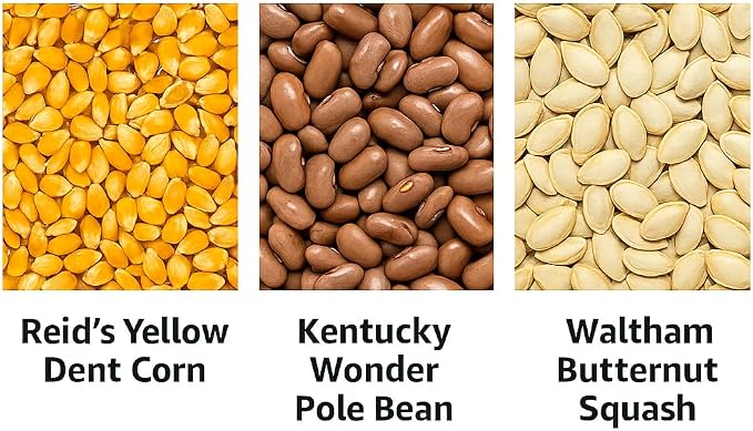 Calorie Crop Survival 1-Month Seed Kit – Grow 30 Days’ Worth of Calories – Heirloom Corn, Beans, and Squash Seeds – Open-Pollinated, Long-Term Storage
