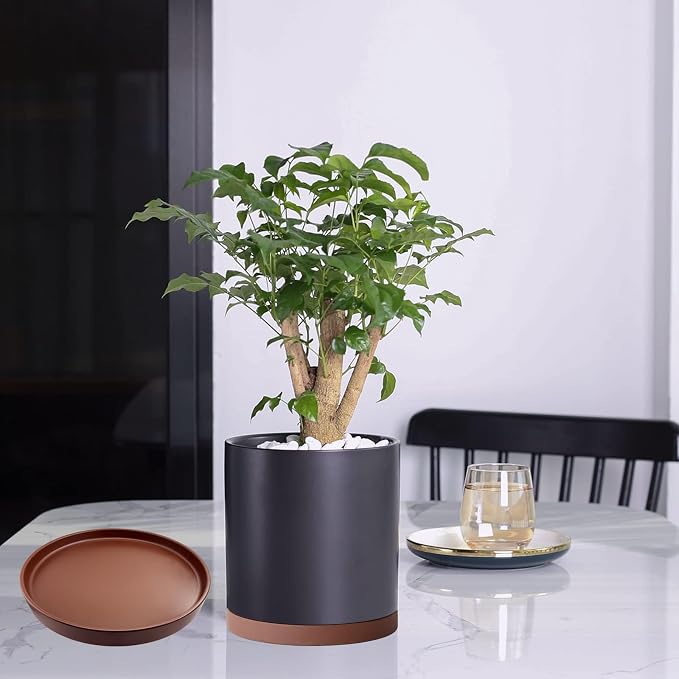 Yukfona Ceramic Plant Saucer Tray 2 Pcs 6.4 Inch Brown, 6.4" OD x6.02 ID x0.9 Deep| Fits flower pots Bottom≤ 6.02", Heavy Duty Glazed Round Planter Drip with Catch Basin for Indoor Outdoor Plants