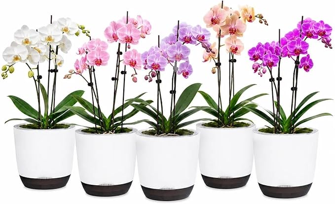 7.2Inch White Orchid Pots with Holes for Repotting, Double-Layer Plastic Self Watering Flower Pots for Indoor Plants with Drainage Holes, Clear Orchid Pot Match Decorative Orchid Container, 5 Packs