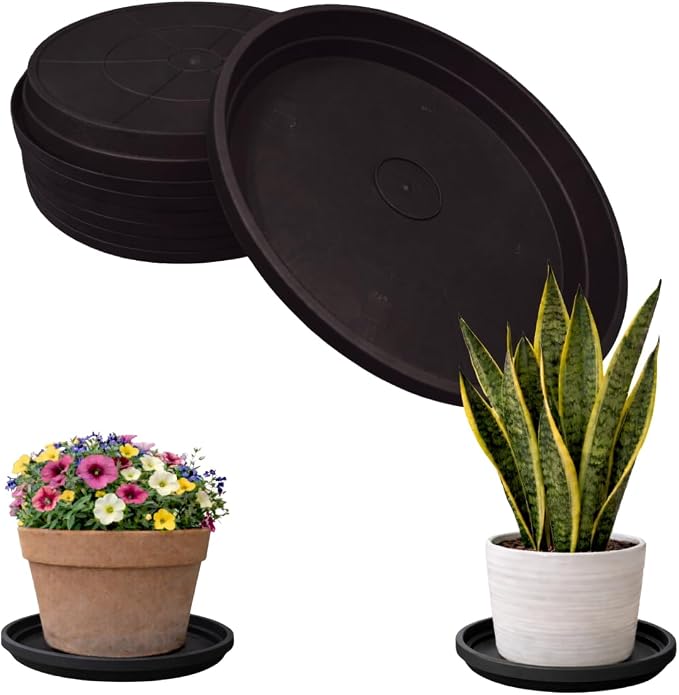 10 Inch Plant Pot Tray USA Made – Durable Plastic Flower Pot Saucer – Plant Water Catcher for Indoor Outdoor Garden (6, Midnight Black)