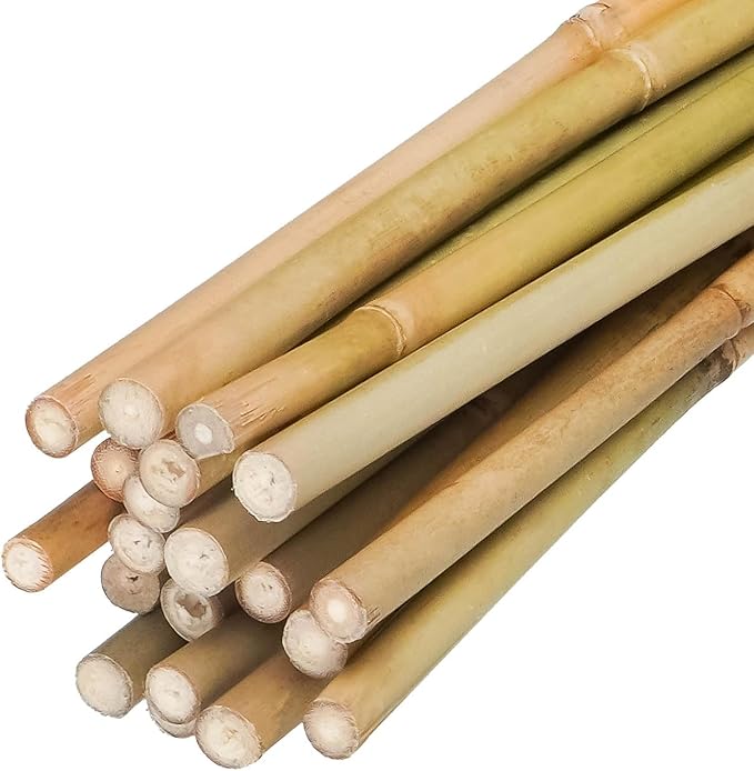 Natural Bamboo Plant Stake（Approx 5FT 50Pcs） Sturdy Bamboo Poles, Durable Plant Bamboo Stake, Garden Climbing Plant Bracket.