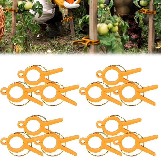 Plant Clips, 2026 Upgrade Plant Support Clips Reusable Garden Clips, Secured Plastic Plant Clips, Tomato Trellis Clips Plant Vine Fixing Clips for Climbing Plants Indoor Outdoor (Green*12+Orange*12)